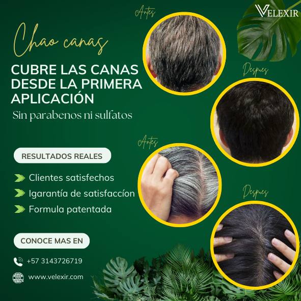 Shampoo Chao Canas